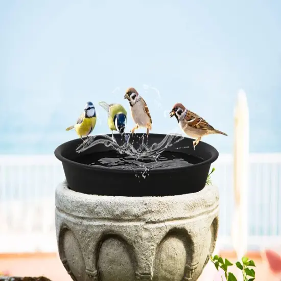 4 Pack 14Inch Plant Saucer Plastic {4}