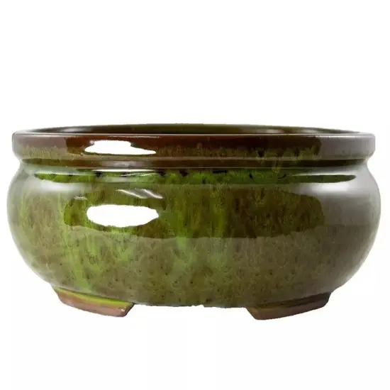 Oval Glazed Bonsai / Succulent Pot + Tray + Mesh 12"x 8.5"x 3.75" - Moss Green {1}
