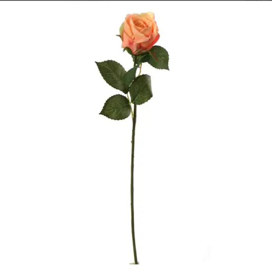 20" Rose Bud Stem - 12 PACK {2}