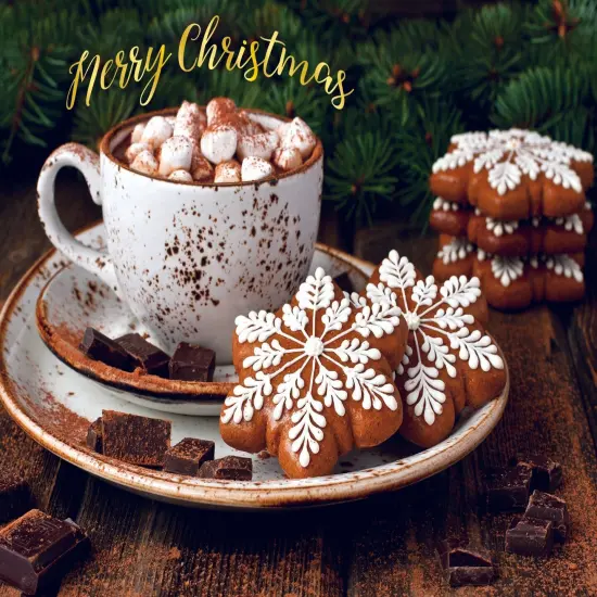 Boxed Christmas Cards - Cozy Moments {5}