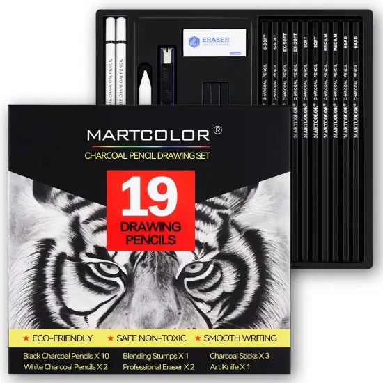 Charcoal Drawing Set, 19 Pieces, Black & White Charcoal Pencils for Drawing {1}