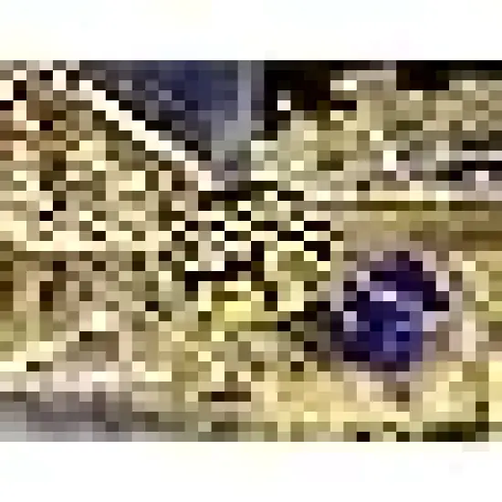 Christmas Lights Outdoor Warm White {3}