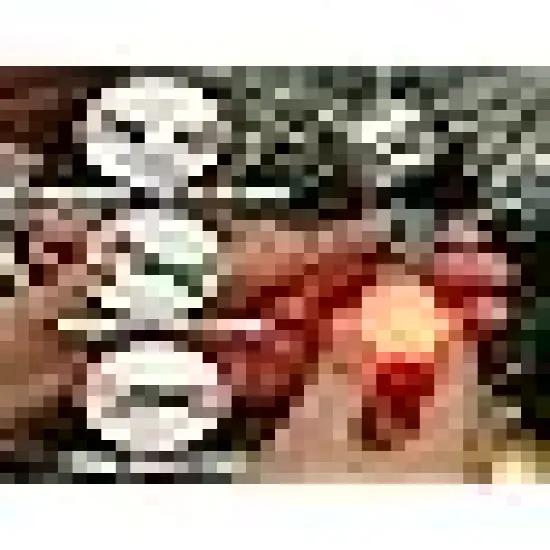 Christmas String Lights with 25 Bulbs {5}