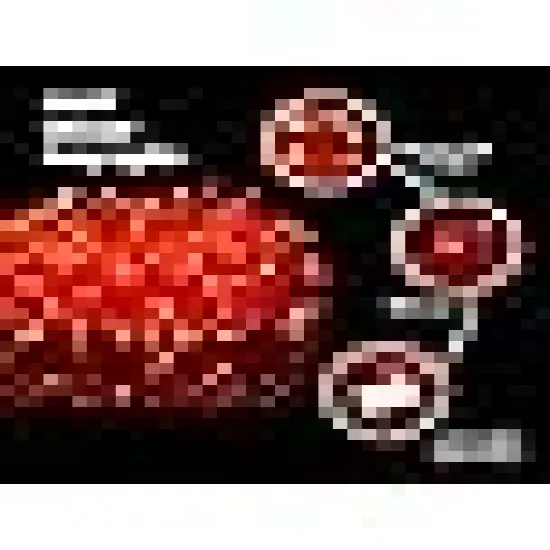 Led Red String Lights Outdoor Waterproof Christmas Decorations {2}