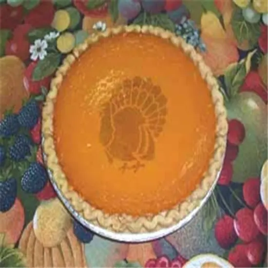 Thanksgiving Turkey Cake Stencil | C346 by Designer Stencils | Cake Decorating Tools | {2}