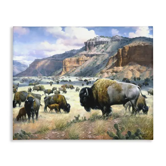 Stupell Industries Grazing Bison & Buffalo Canvas By Jack Sorenson {1}