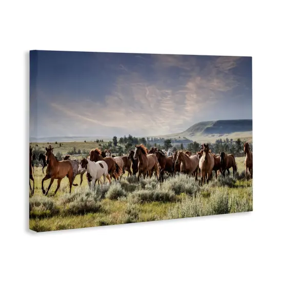 Stupell Industries Bustling Horse Herd in Nature Canvas By PHBurchett {3}