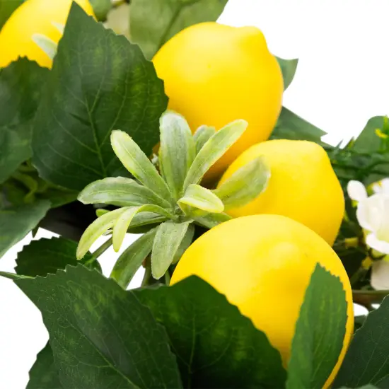 Northlight Lemons and Daisies Artificial Floral Wreath, Yellow - 20-Inch {7}