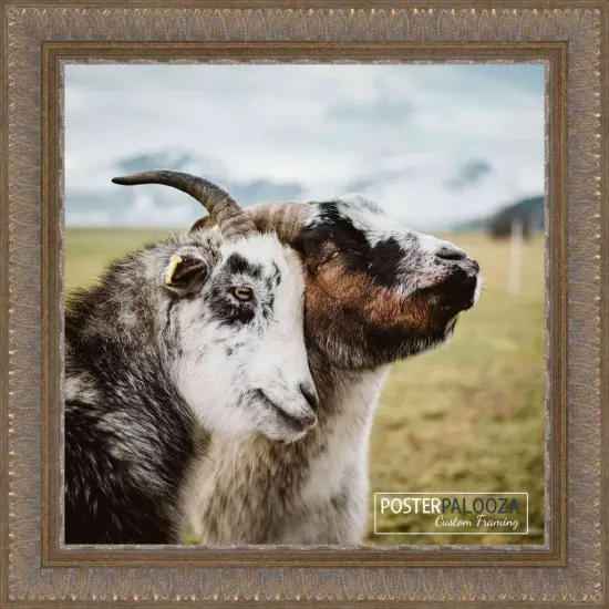 Square Ornate Gold Picture Frame - UV Acrylic, Foam Board Backing, Hanging Hardware {1}