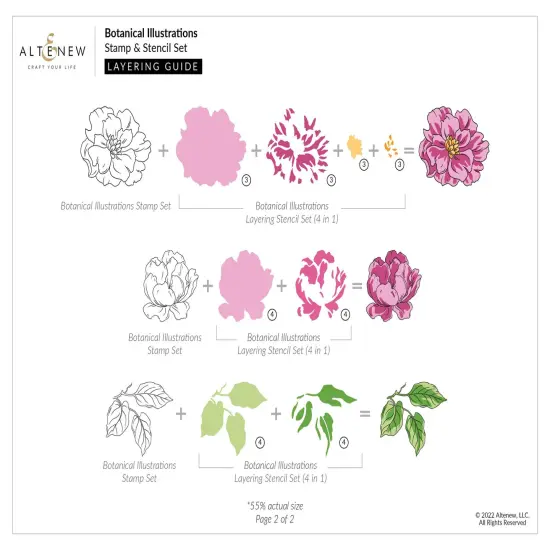 Botanical Illustrations {5}