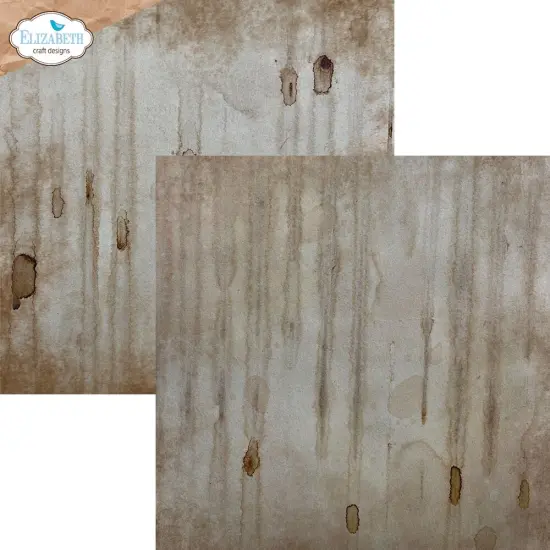 Elizabeth Crafts Double-Sided Cardstock Pack 12"X12"-Coffee Dyed {4}