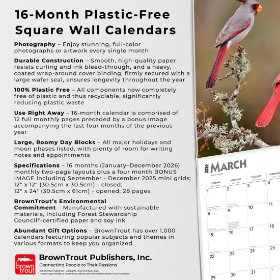 Cardinals | 2026 12 x 24 Inch (Hanging) Monthly Square Wall Calendar | Plastic-Free {6}
