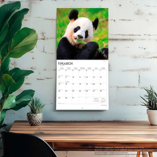 Giant Pandas | 2026 12 x 24 Inch (Hanging) Monthly Square Wall Calendar | Plastic-Free {5}