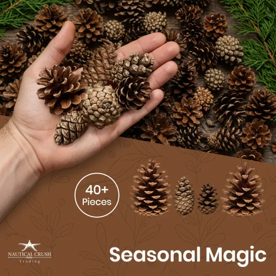 Cinnamon Scented Pinecones Variety 1 lb for Decorating, Over 40 Small Cinnamon Pine Cones for Crafts and Vase Filler Cinnamon Fragrance Pine Cones {2}