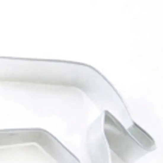 4" Cookie Cutter Lion for Safari & Animal Themes {3}