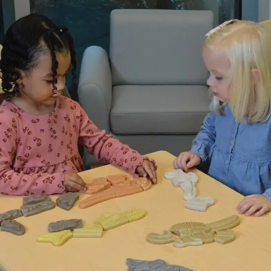 Yellow Door Dig & Discover Dinosaur Tactile Skeletons - Set of 6 {3}