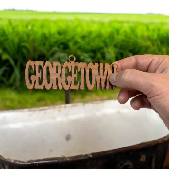 Georgetown - Cedar Ornament {4}