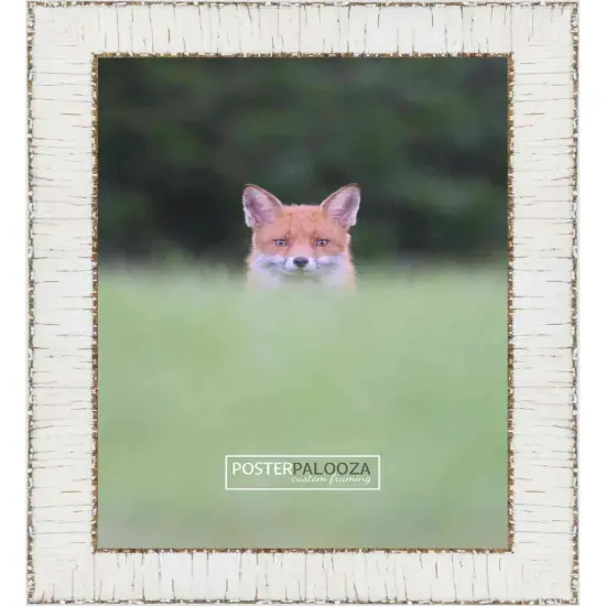 Ornate White Picture Frame - UV Acrylic, Backing Board, Hanging Hardware Included {3}