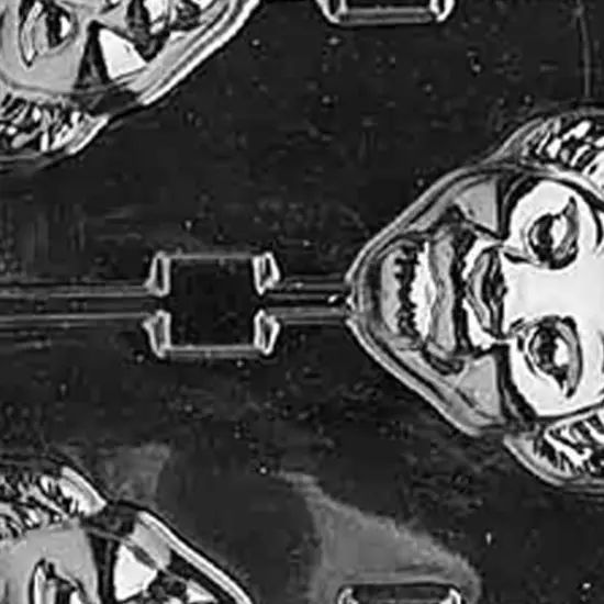 Lion Cub Lolly Chocolate Mold Adorable Animal Shaped Treats {2}