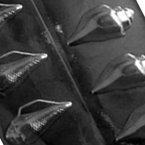 3D Shells Chocolate Mold for Beach-Themed Parties and Crafts {5}