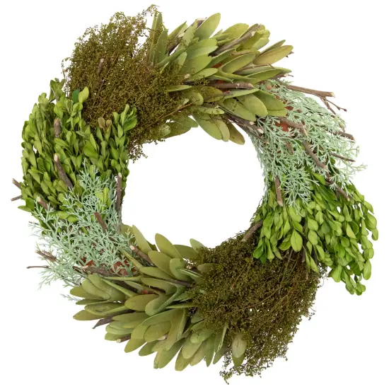Northlight Cedar, Succulent and Day Grass Artificial Spring Wreath, Green -14-Inch {3}