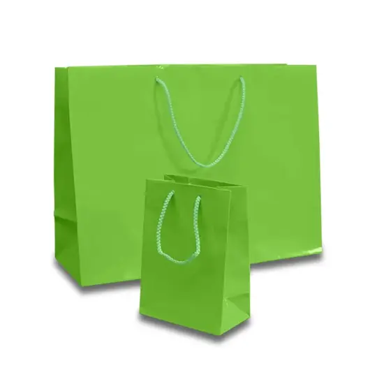 Small Glossy Euro Totes Vibrant Colors 16'' x 6'' x 12'' Lime {2}