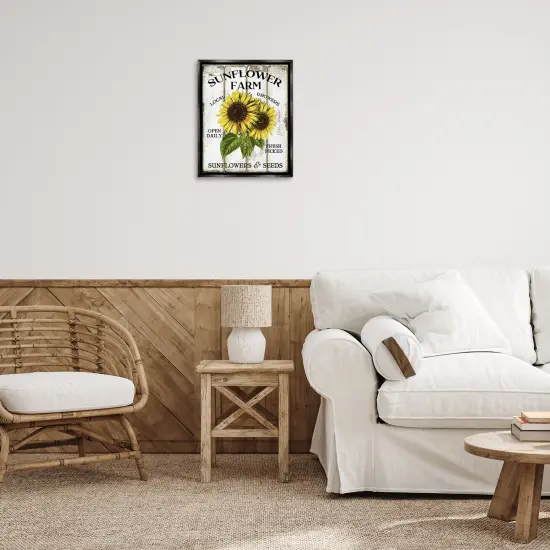 Stupell Industries Antique Sunflower Farm Seeds Floater Framed Canvas Wall Art Design by Creatif Belle {8}