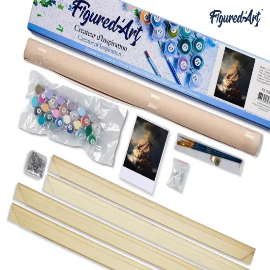 Figured'Art Paint by Numbers Kit for Adults Boat in the Storm 16"x20" - Craft Art Painting Rolled Canvas with DIY wooden frame {5}