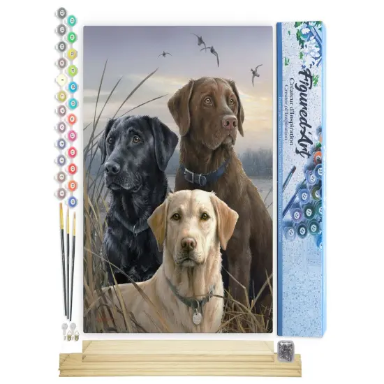 Figured'Art Paint by Numbers Kit for Adults Labrador Trio 16"x20" - Craft Art Painting Rolled Canvas with DIY wooden frame {1}