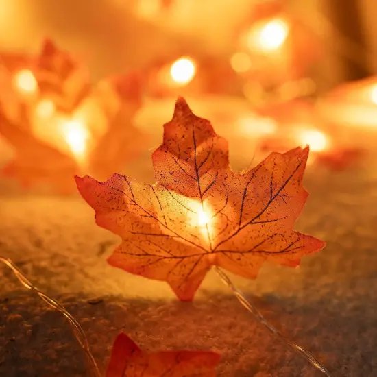 4 Pack Fall Maple Leaf String Lights - 40FT 80 LED Battery {4}