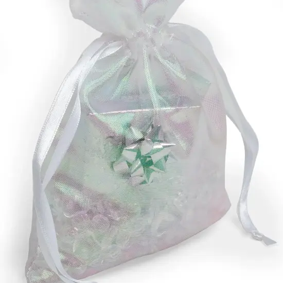 Shiny Iridescent Fabric Bag 3" x 4" {3}