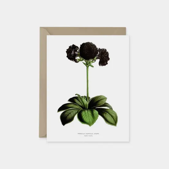 Custom Art Cards, Vintage Botanical Card {5}