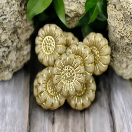 *12* 13mm Gold Washed Opaque Beige Ivory Sunflower Coin Beads {1}