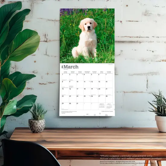 Golden Retriever Puppies | 2026 12 x 24 Inch (Hanging) Monthly Square Wall Calendar | Plastic-Free {5}