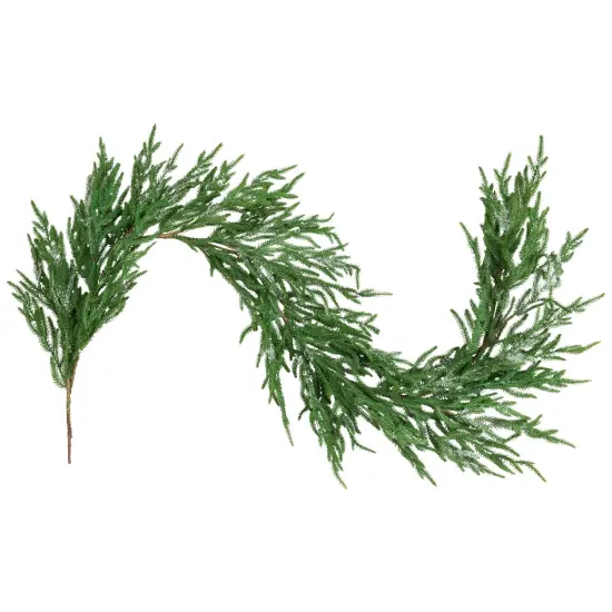 Northlight Frosted Norfolk Pine Artificial Christmas Garland - 5' - Unlit Green {3}