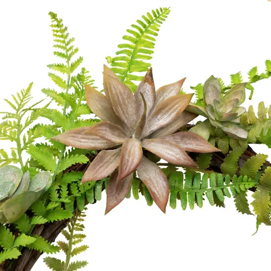 Northlight Succulents and Foliage Artificial Spring Twig Wreath, Green - 22-Inch {7}