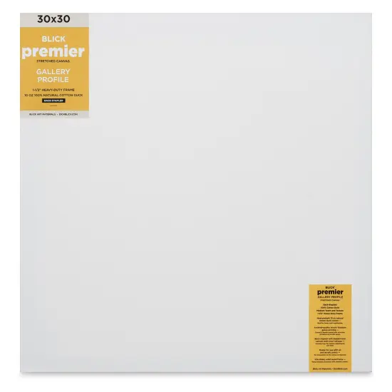 Blick Premier Stretched Cotton Canvas - Gallery Profile, Back-Stapled, 30" x 30" {1}