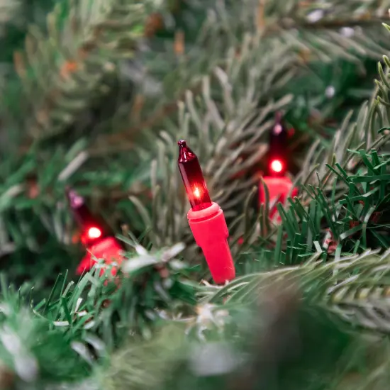 Northlight Mini Christmas Lights - Red -20' Red Wire - 100ct {3}