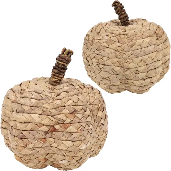 2 Pack Pumpkin Fall Decor - (Beige) {1}