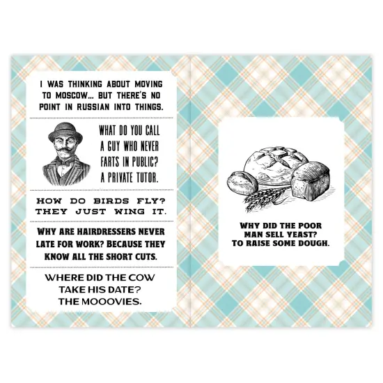 Dad Jokes: A Dad-a-Base Softcover Book {4}