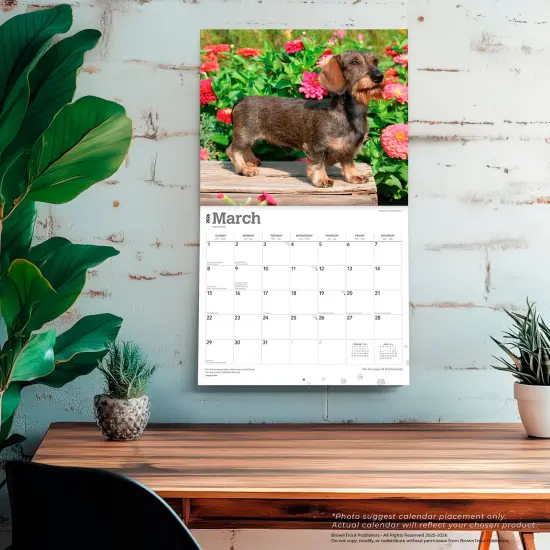 For the Love of Dachshunds | 2026 14 x 24 Inch (Hanging) Monthly Deluxe Wall Calendar | Foil Stamped Cover | Plastic-Free {5}