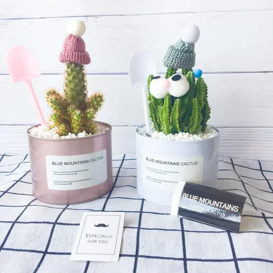 8 Pack Metal Paint Cans {3}