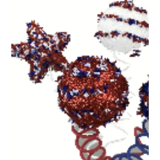 16" Patriotic Cake Pop Spray {2}