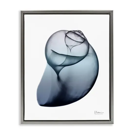 Stupell Industries Contemporary Snail Shell Framed Floater Canvas Wall Art Gray Floater Frame {1}