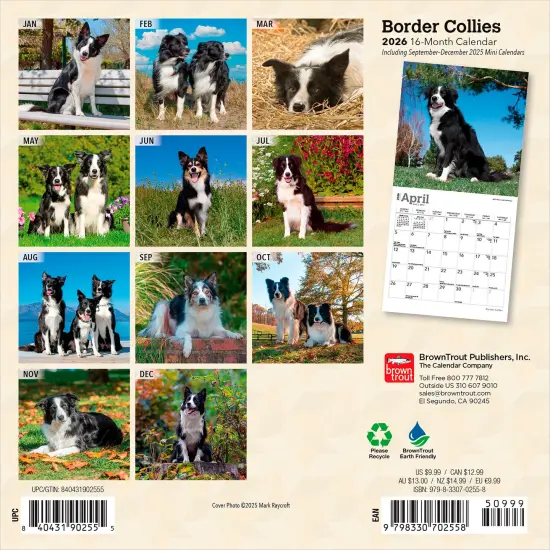 Border Collies | 2026 7 x 14 Inch (Hanging) Monthly Mini Wall Calendar {2}