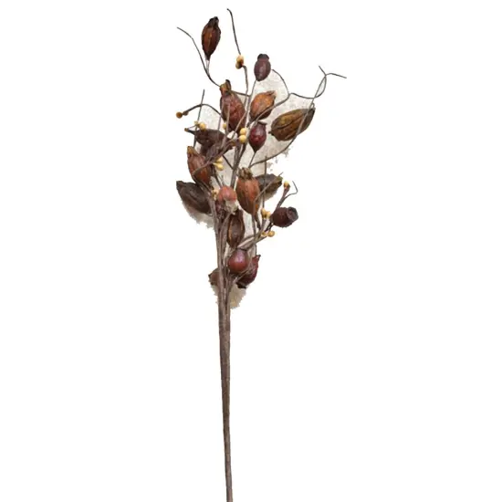 Dried Rose Hip Pick {1}