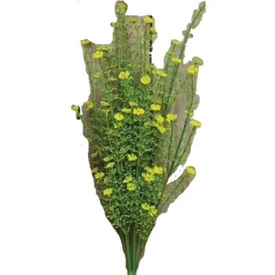 20" Yellow Astilbe Bush with Lush Green Stems Perfect for Decorating Any Area {1}