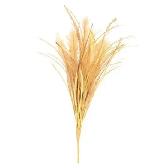 Pale Mellow Whisp Bush {1}