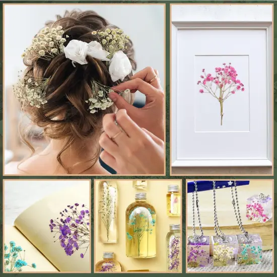 200 Pcs Dried Baby's Breath Flowers Preserved Baby's Breath (4 Colors) {5}