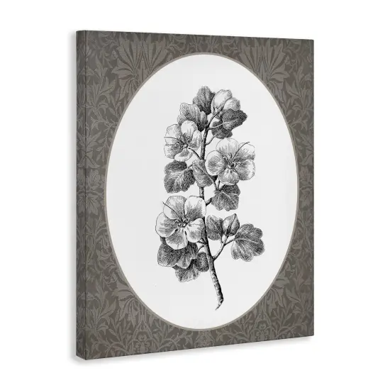 Stupell Industries Vintage Cherry Blossom Sprig Canvas By Lettered and Lined {3}